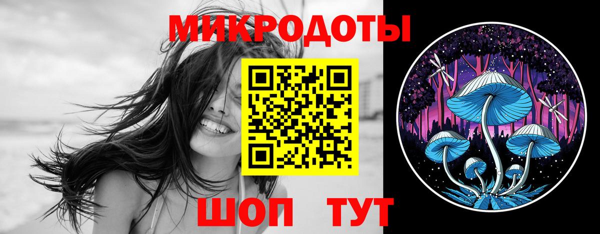 Галлюциногенные грибы прущие грибы Новороссийск