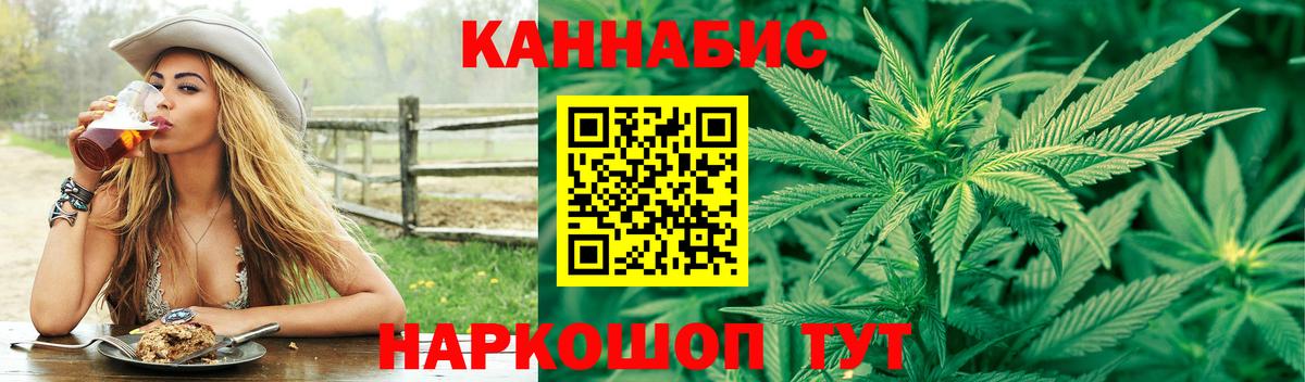 Конопля марихуана Новороссийск